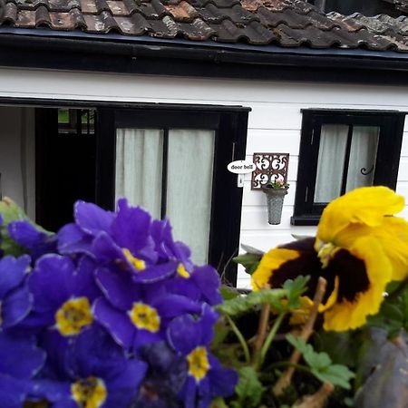 Rose Farm Bed and Breakfast Honiton Buitenkant foto