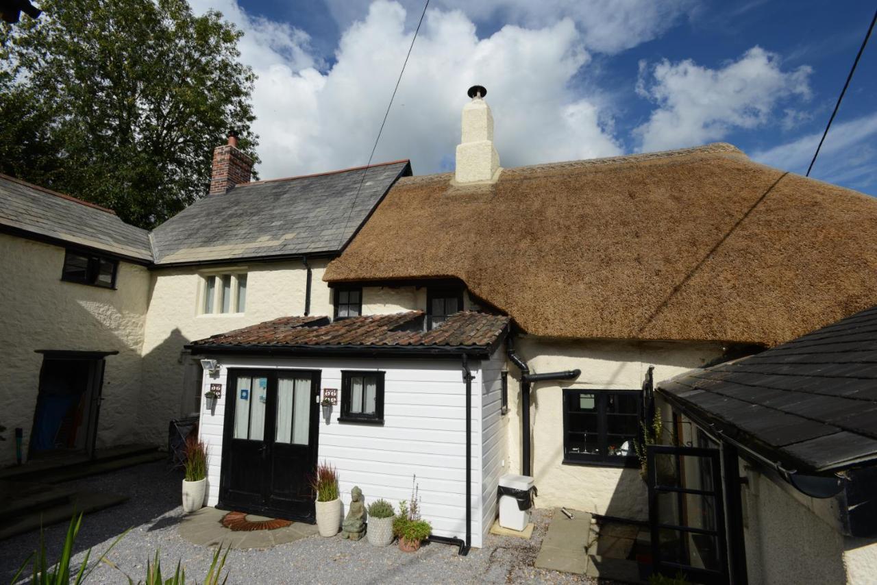 Rose Farm Bed and Breakfast Honiton Buitenkant foto