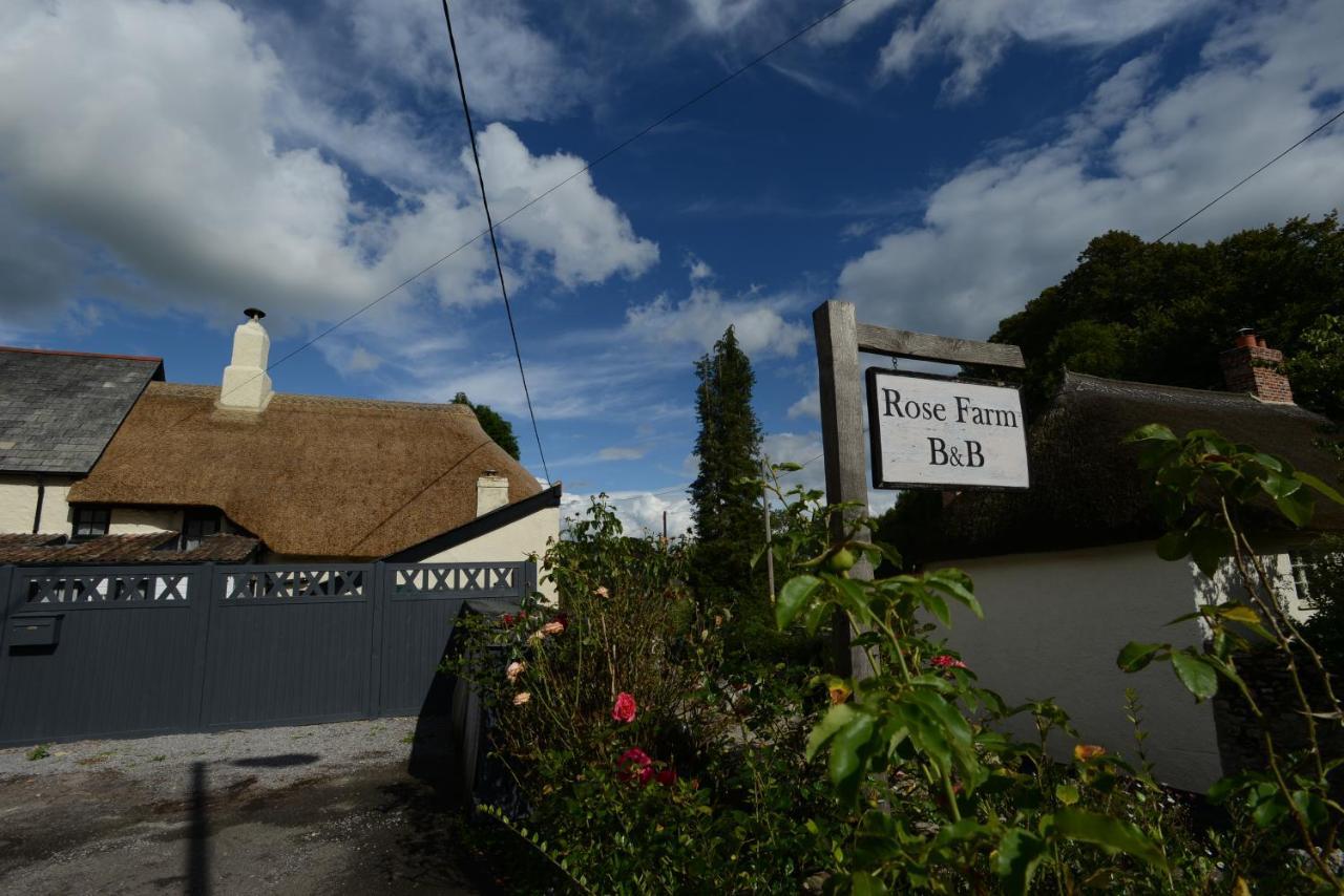 Rose Farm Bed and Breakfast Honiton Buitenkant foto
