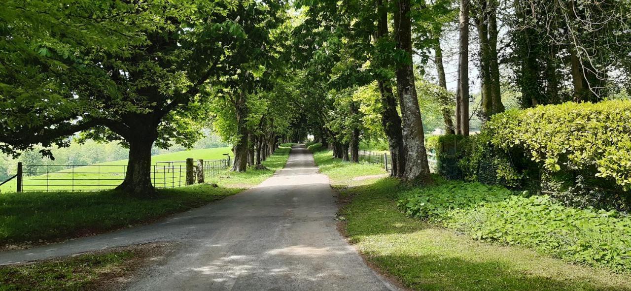 Rose Farm Bed and Breakfast Honiton Buitenkant foto