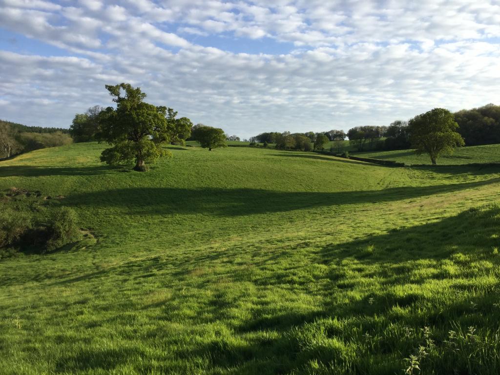 Rose Farm Bed and Breakfast Honiton Buitenkant foto