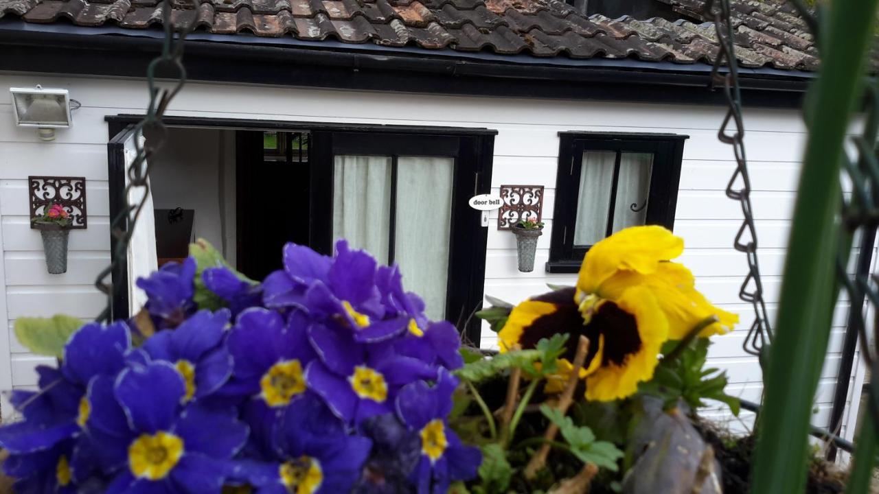 Rose Farm Bed and Breakfast Honiton Buitenkant foto
