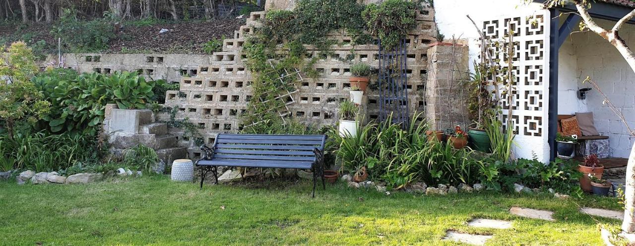 Rose Farm Bed and Breakfast Honiton Buitenkant foto