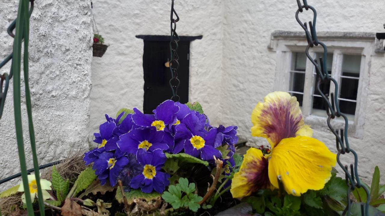 Rose Farm Bed and Breakfast Honiton Buitenkant foto