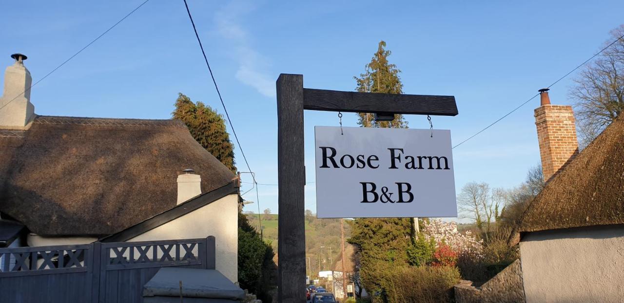 Rose Farm Bed and Breakfast Honiton Buitenkant foto