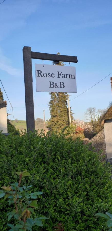 Rose Farm Bed and Breakfast Honiton Buitenkant foto