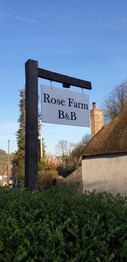 Rose Farm Bed and Breakfast Honiton Buitenkant foto