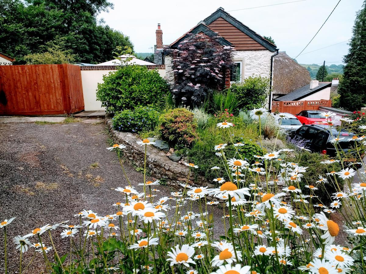 Rose Farm Bed and Breakfast Honiton Buitenkant foto